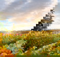 Hahndorf Hill Winery - Accommodation Bookings