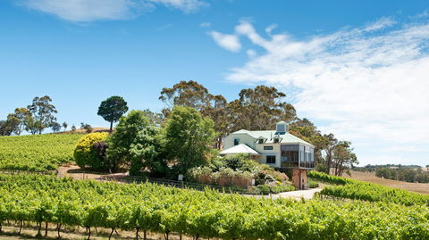 Hahndorf Hill Winery - Accommodation Bookings 1