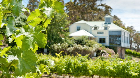 Hahndorf Hill Winery - Accommodation Bookings 2