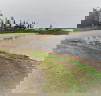 South West Rocks Country Club - Accommodation Bookings