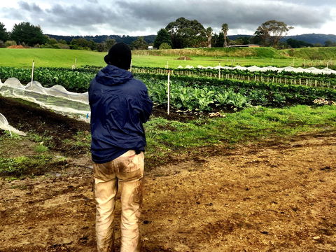Torello Farm - Accommodation Bookings 2