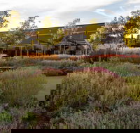 Barossa Valley Estate Cellar Door  Gardens
