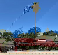 The Vine Hotel North Wangaratta - Accommodation Bookings