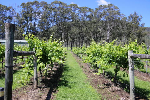 Woongooroo Estate Winery - Accommodation Bookings 0