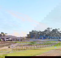 Blacklea Vineyard and Olive Grove - Accommodation Bookings