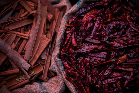 Urban Tadka - Accommodation Bookings 0