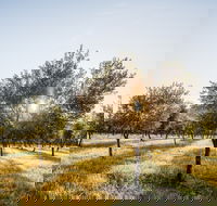 Guneemooroo Estate