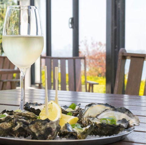 Harrigans Irish Pub And  Harrington River Lodge - Accommodation Bookings 1