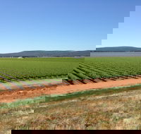 Melange Wines - Accommodation Bookings