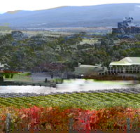 Milton Vineyard - Accommodation Bookings