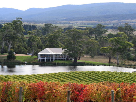 Milton Vineyard - Accommodation Bookings 0