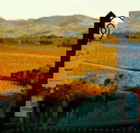 Seize the Day Wines
