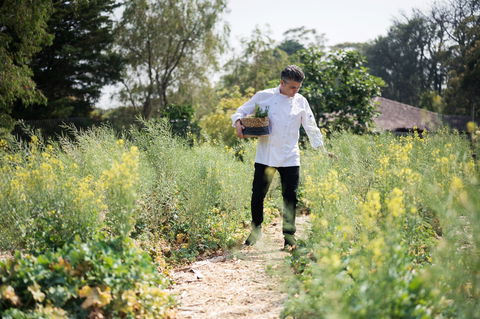 The Wild Flower Bar And Dining - Accommodation Bookings 2