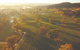 Grant Burge Wines - thumb 1