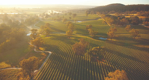 Grant Burge Wines - Accommodation Bookings 1