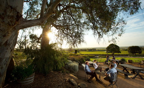 Grant Burge Wines - Accommodation Bookings 2