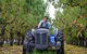 Darkes Glenbernie Orchard - thumb 1