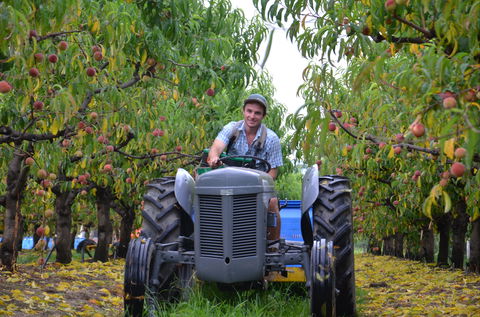 Darkes Glenbernie Orchard - Accommodation Bookings 1