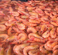 Grunske's By The River Seafood Market and Restaurant - Accommodation Bookings