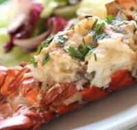 Bondi Harvest - Accommodation Bookings