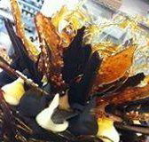 Daily Dose Cafe Wine Bar - Accommodation Bookings