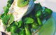 Old Green Bean - thumb 17