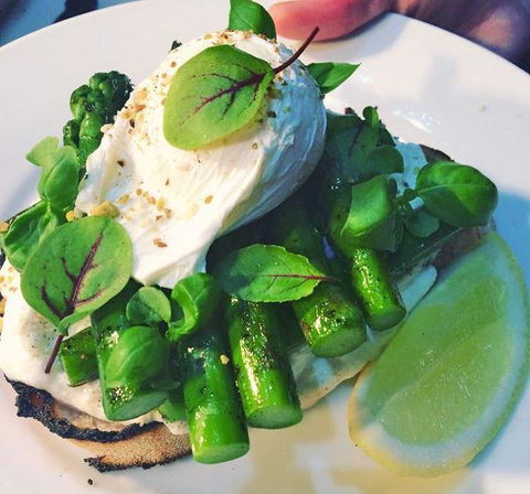 Old Green Bean - Accommodation Bookings 17