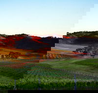 Dalwhinnie Wines - Accommodation Bookings