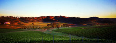 Dalwhinnie Wines - Accommodation Bookings 0