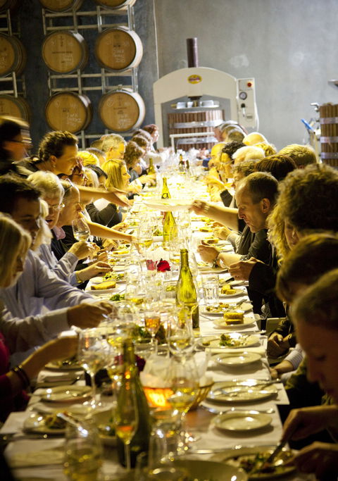 Dalwhinnie Wines - Accommodation Bookings 2