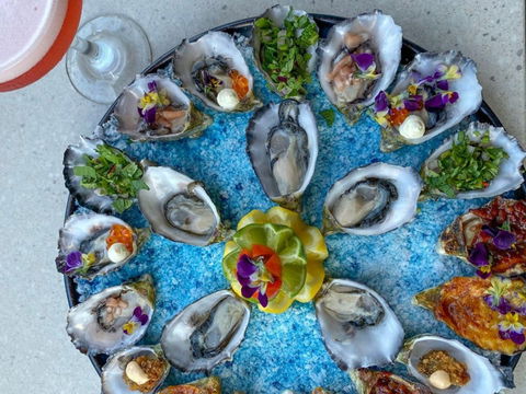 Oyster Bar Darwin - Accommodation Bookings 2