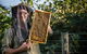 Pure Peninsula Honey - thumb 0