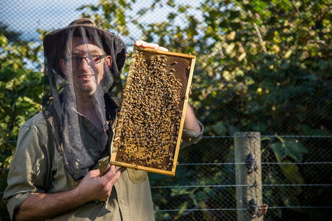 Pure Peninsula Honey - Accommodation Bookings 0