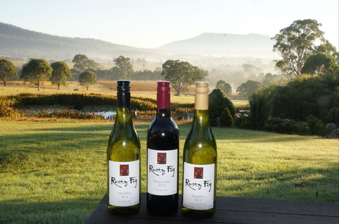 Rusty Fig Wines - Accommodation Bookings 0