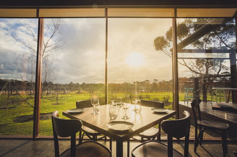 Stumpy Gully Vineyard - Accommodation Bookings 1