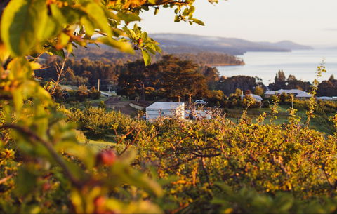 The Woodbridge Smokehouse - Accommodation Bookings 0