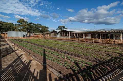 Camperdown Commons - Accommodation Bookings 0