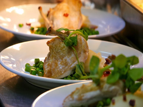 Griffith Exies Club - Accommodation Bookings 1