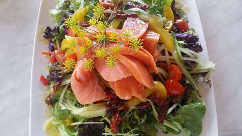 Thurlby Herb Farm Cafe - Accommodation Bookings 0