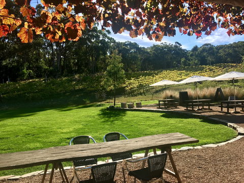 Deviation Road Winery - Accommodation Bookings 0