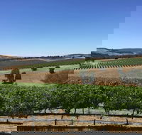 Peerick Vineyard and Winery