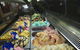 Sweetness Your Lolly Shop And Gelato - thumb 0