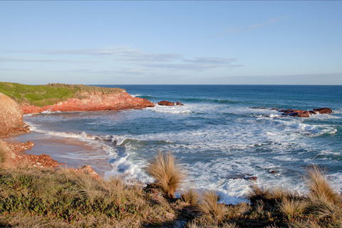 The Cape Kitchen - Accommodation Bookings 0
