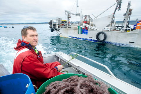 Peninsula Fresh Seafood - Accommodation Bookings 0