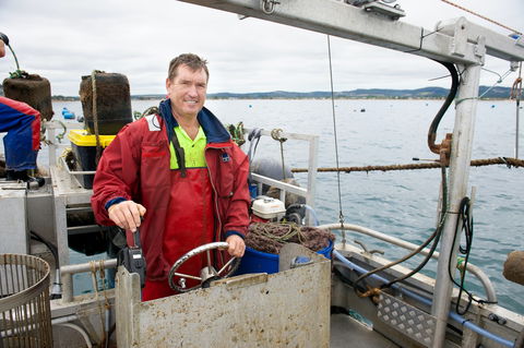 Peninsula Fresh Seafood - Accommodation Bookings 1