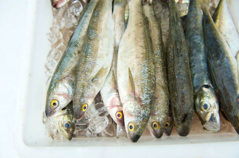 Peninsula Fresh Seafood - Accommodation Bookings 2