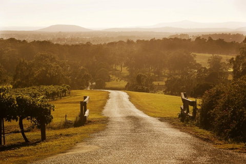 Petersons Wines - Accommodation Bookings 0