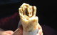 Radwan Bakery - thumb 0