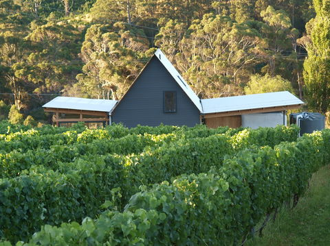 Two Bud Spur Vineyard - Accommodation Bookings 0