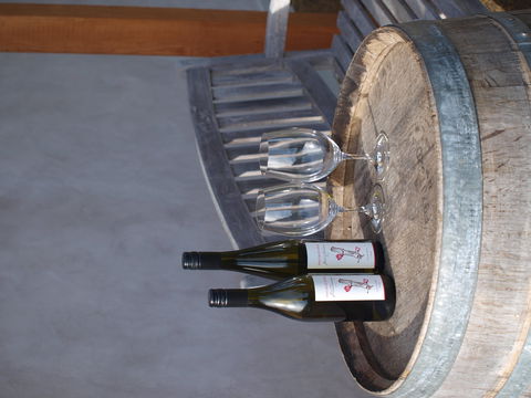 Two Bud Spur Vineyard - Accommodation Bookings 1